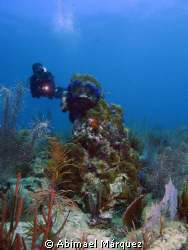 Juan in "La Nasa" dive site at Mayaguez, P.R. by Abimael Márquez 